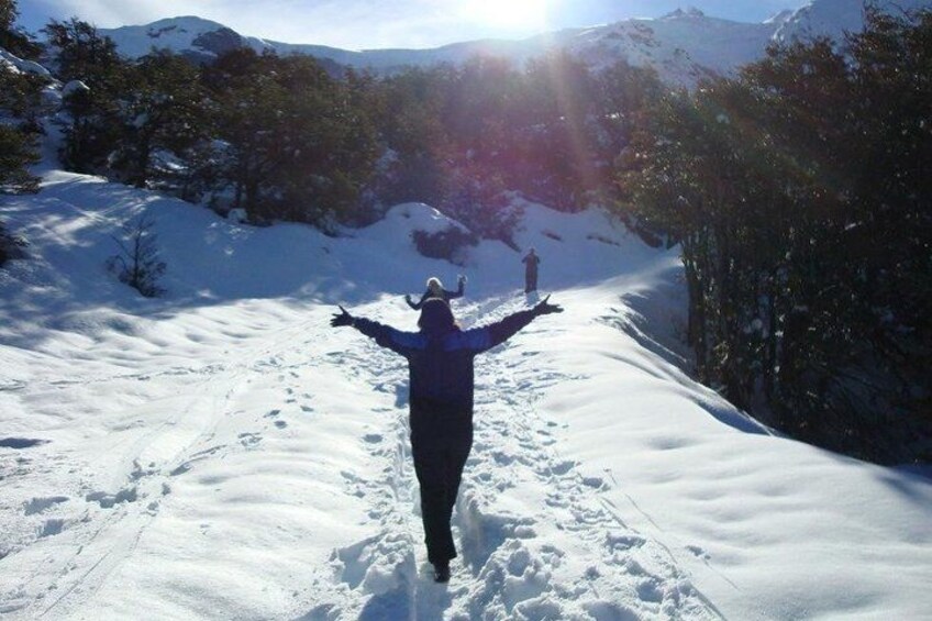 A person skiing down a snowy slope with trees and mountains in the background. 5