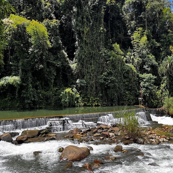 A river flowing through a forest with a waterfall and rocks in the foreground. 2