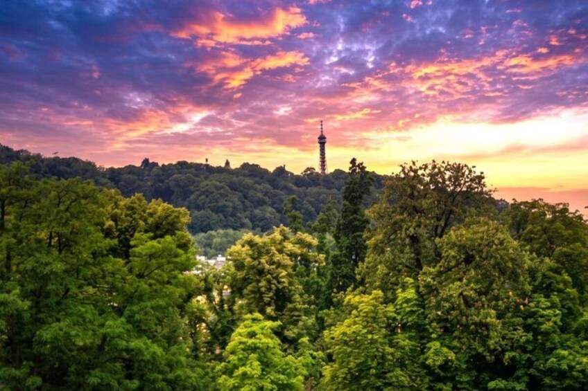 A forested landscape with a tower structure in the distance. 3