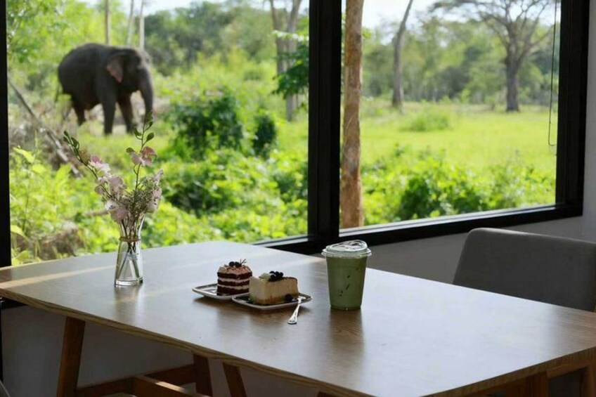 A table with a cake and a green drink, and a window with an elephant in the background. 1