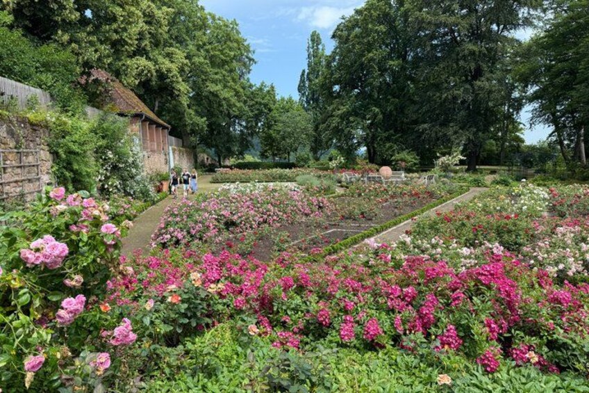 A garden with rows of pink and white flowers, a stone wall, and a pathway. 3