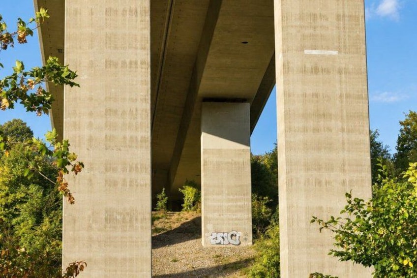A concrete bridge with multiple pillars, surrounded by greenery and trees. 2