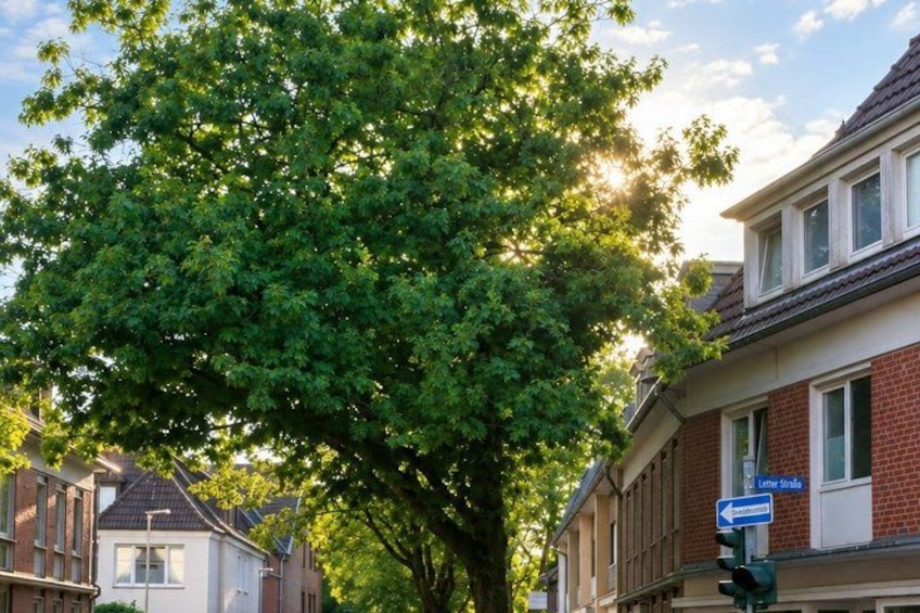 A residential street with houses, a large tree, and a street sign. 2