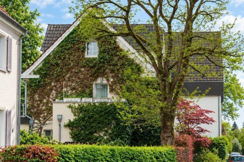 A house with ivy-covered walls, a tree with green and red leaves, and a hedge in front. 3