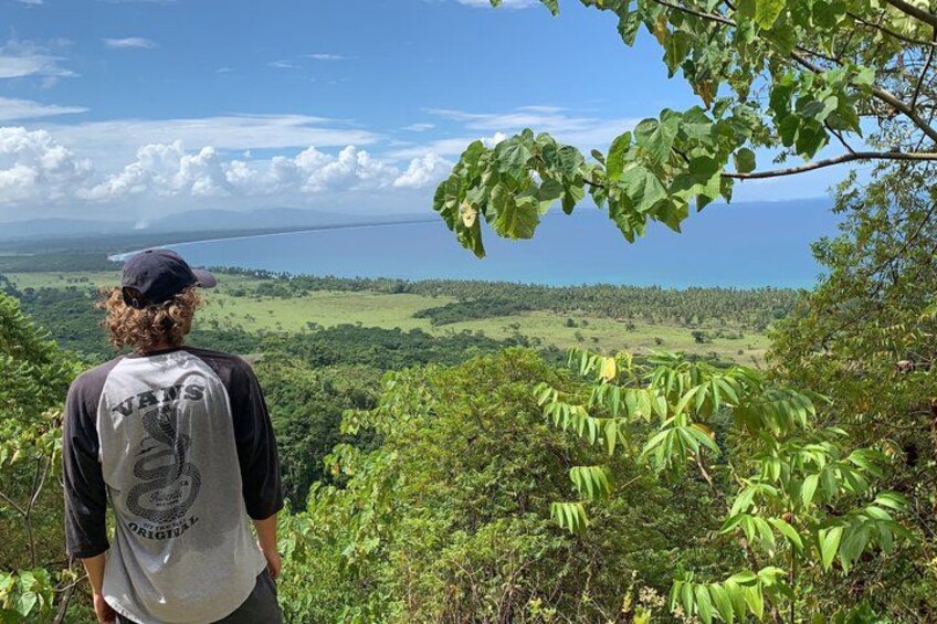 A person standing on a hill overlooking a coastal landscape with dense greenery and a view of the sea. 3
