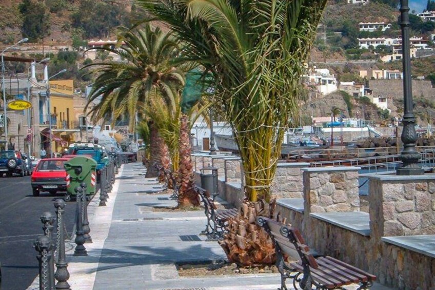 A coastal street with palm trees, benches, and parked cars. 2