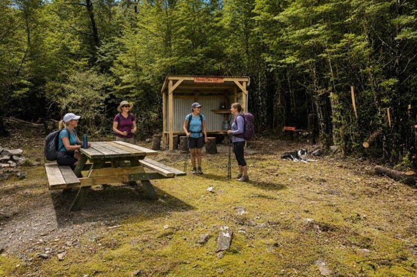 A picnic table, a wooden shelter, and hikers in a forest. 5