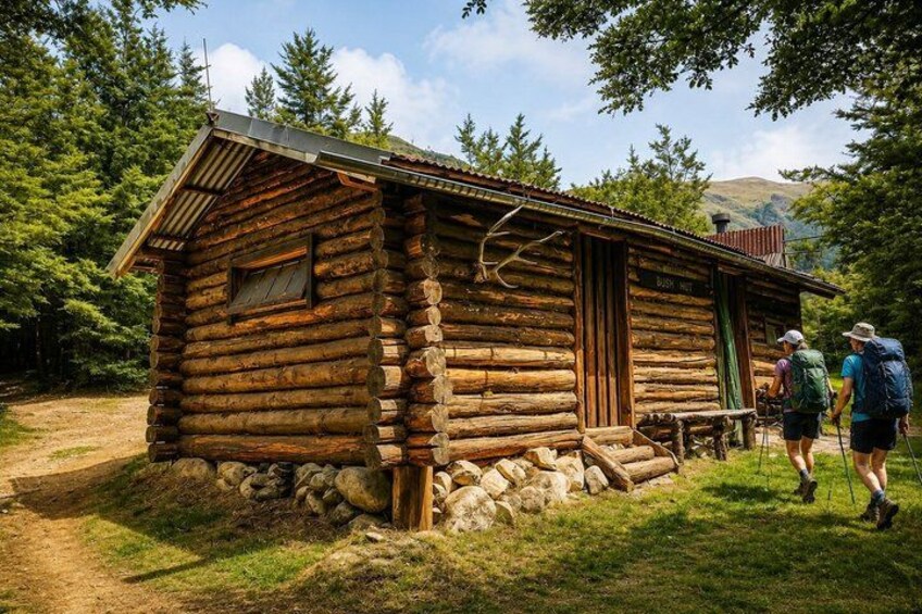 A rustic log cabin with a metal roof, surrounded by a forested area with a clear sky. 4
