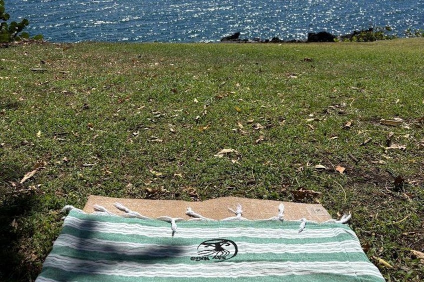 A grassy area with a blanket and a small table. 2