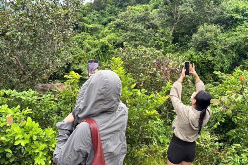 Two people taking photos in a lush, green forested area. 2
