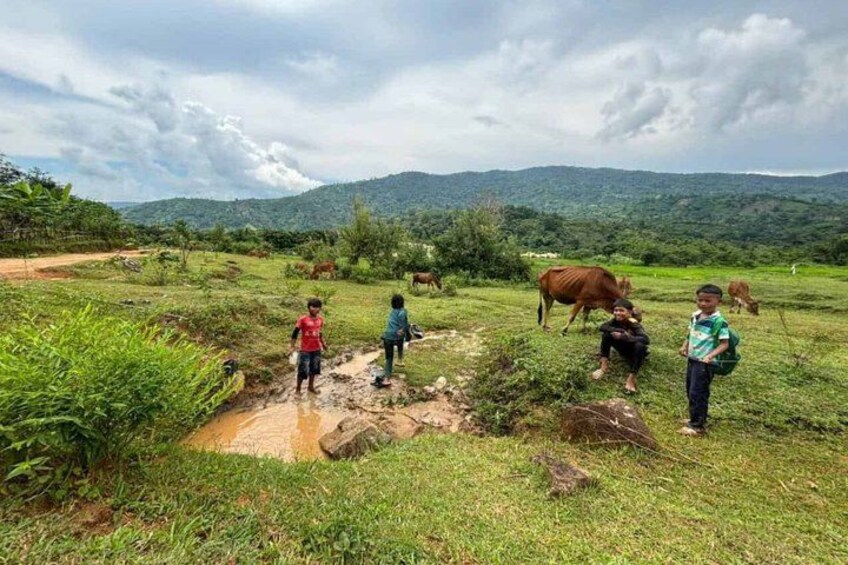 A rural landscape with a group of people and cows. 5