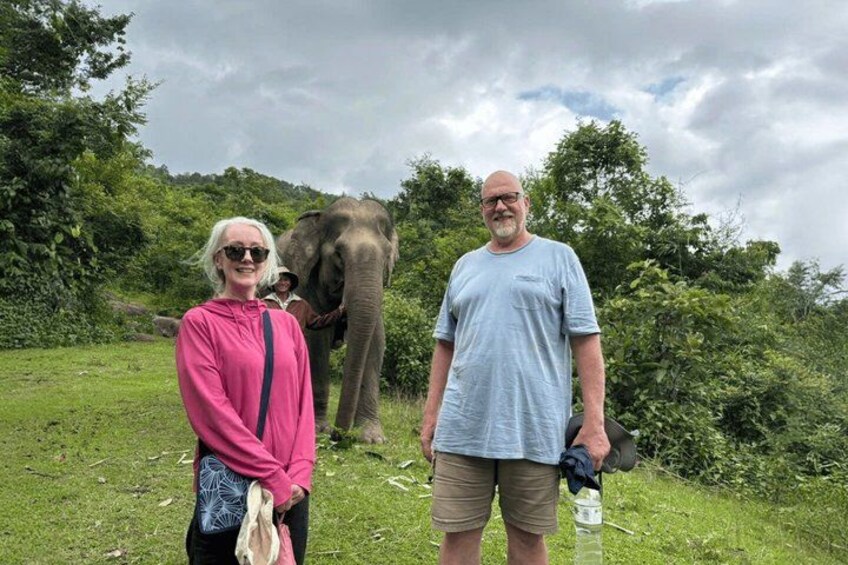Two people standing on grass with an elephant in the background. 1