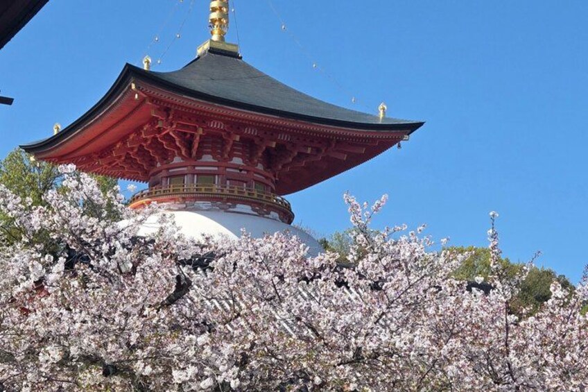 A traditional Japanese pagoda surrounded by cherry blossoms. 4