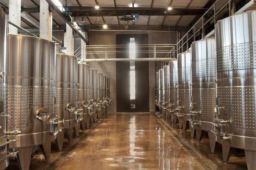 Stainless steel fermentation tanks in a row, with a polished floor and industrial ceiling. 2