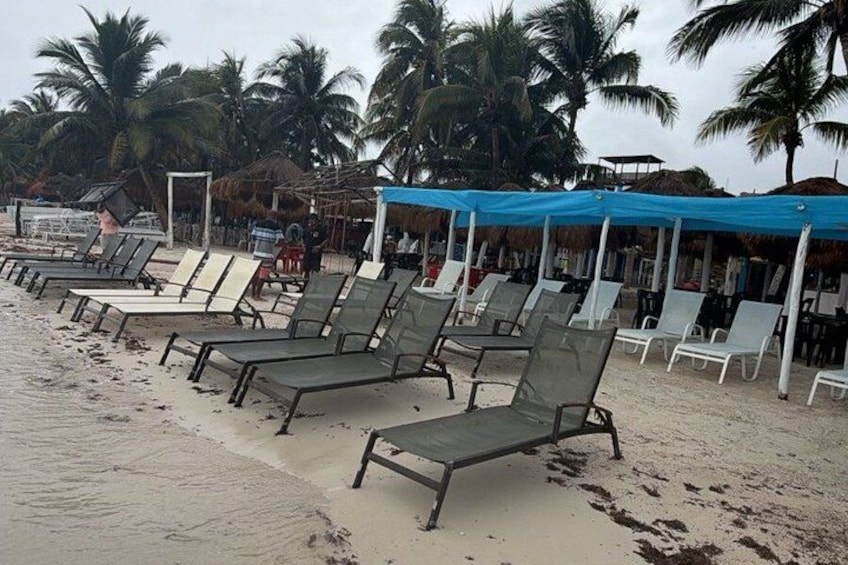 A beach with rows of sun loungers and palm trees. 3