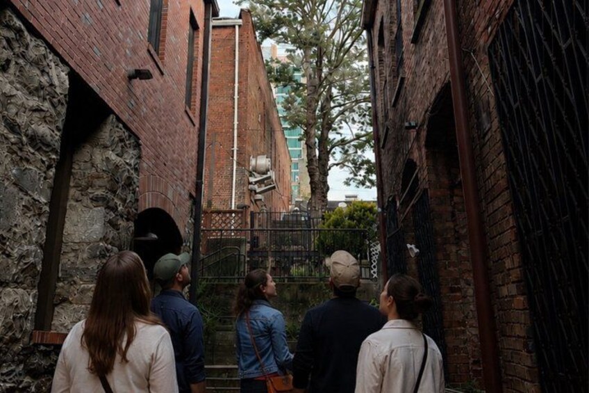 A narrow alley with brick walls, a stone archway, and a metal gate. 1