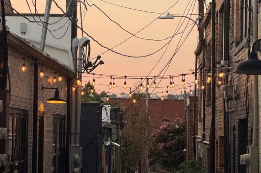 A narrow street with brick buildings, string lights, and a pink flowering bush. 4