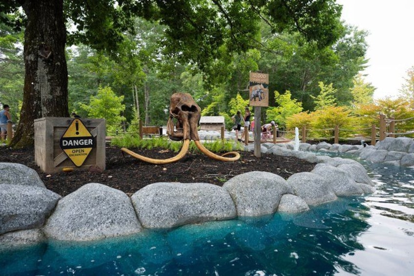A pool with a large dinosaur skeleton and a warning sign. 4