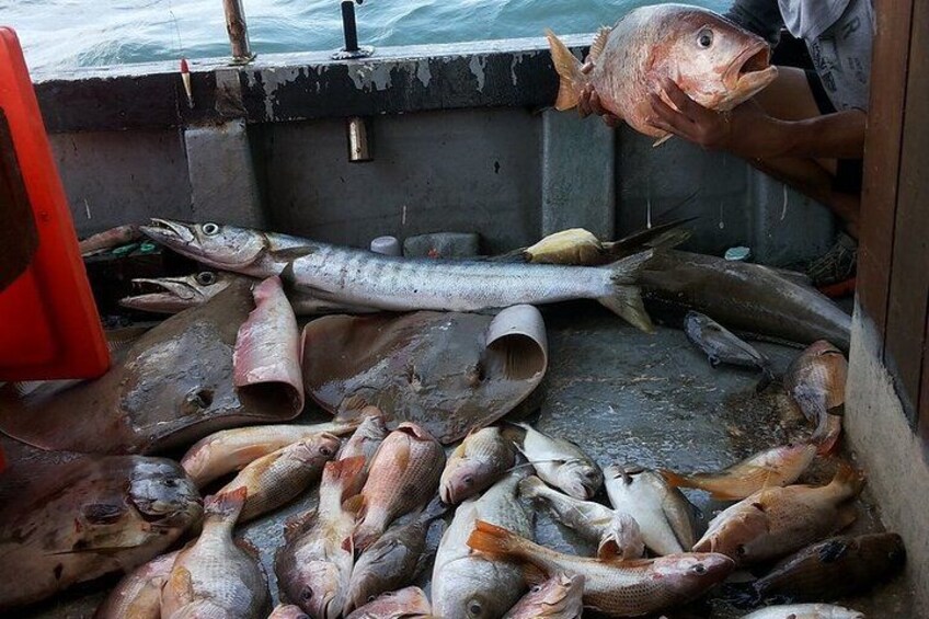 A boat's hold filled with various fish and a large eel. 5