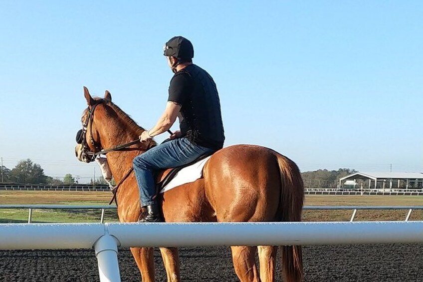 A person riding a horse on a racetrack. 3