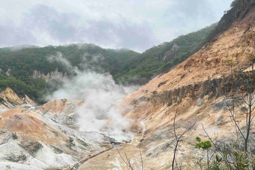 A geothermal area with steam vents, rocky terrain, and sparse vegetation. 4