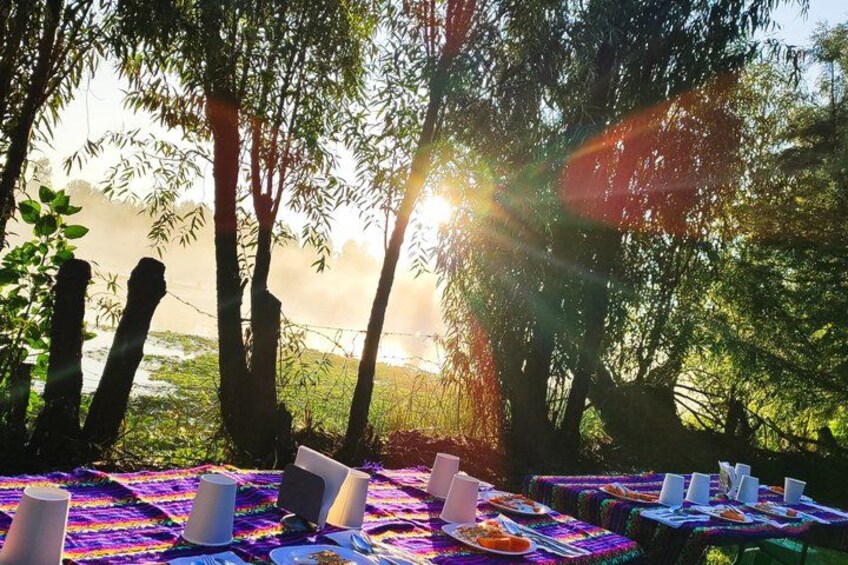 An outdoor dining setup with tables and chairs, surrounded by trees and a view of the sky. 4