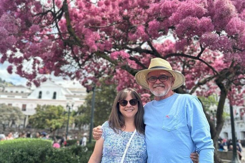 Two people standing in front of cherry blossom trees with a building in the background. 2
