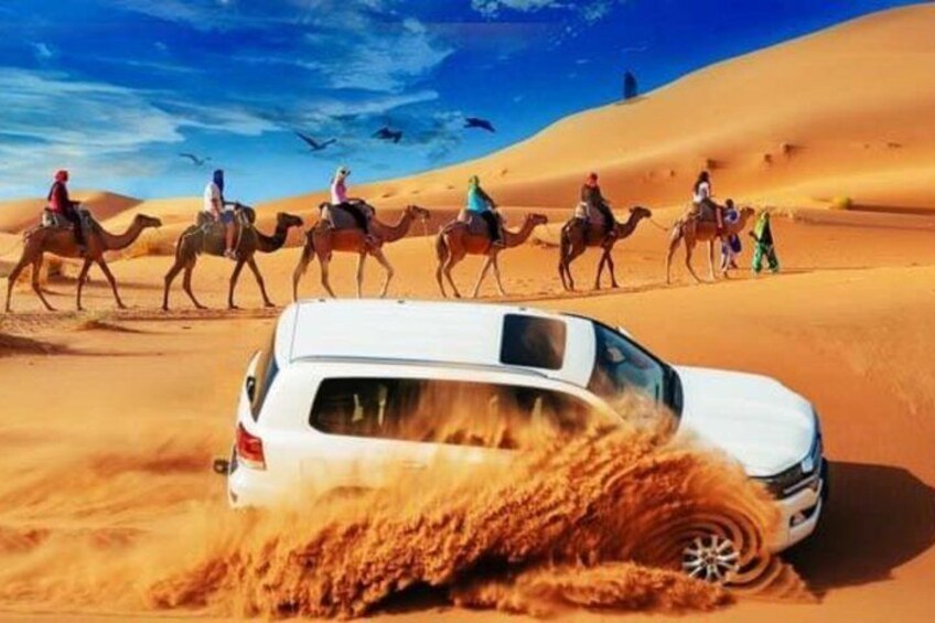 A white SUV in a desert with sand being kicked up, camels and riders in the background. 1