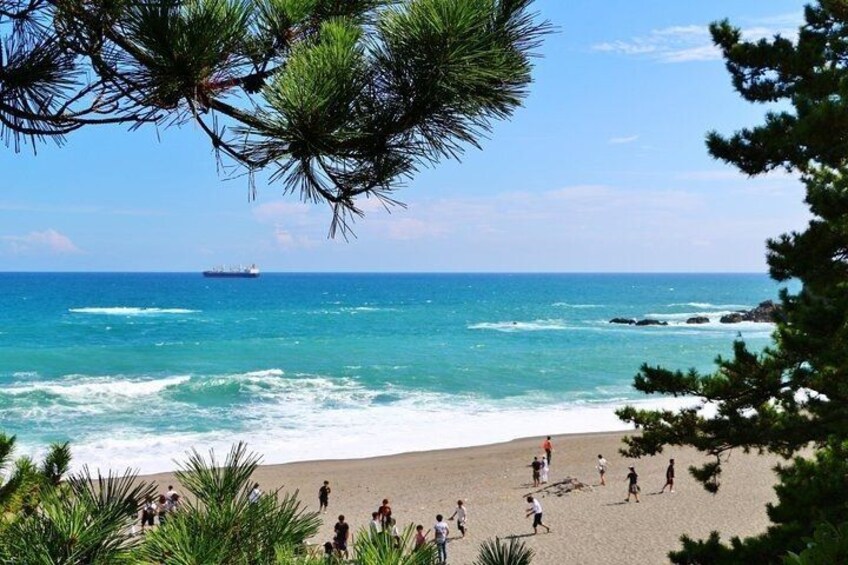 A beach with people walking, waves crashing, and a ship in the distance. 5