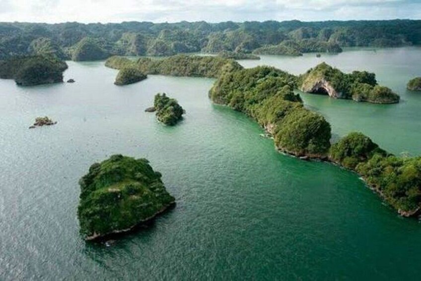 An aerial view of a river with several green islands surrounded by water. 1