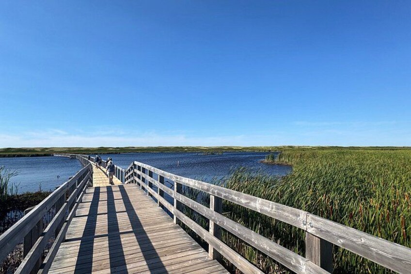 A wooden boardwalk extending into a marshy area with water on both sides. 4