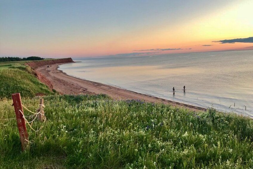 A beach with a wooden fence, grassy area, and two people walking along the shore. 5