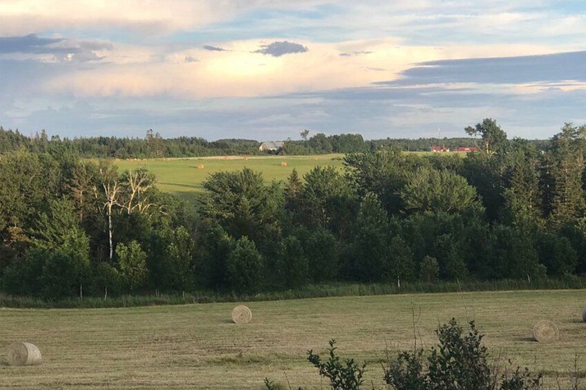 A rural landscape with fields, trees, and hay bales. 2