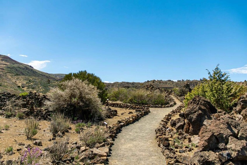 Un sentier rocailleux qui serpente à travers un paysage aride et vallonné, où la végétation est rare et le ciel d’un bleu éclatant. 2