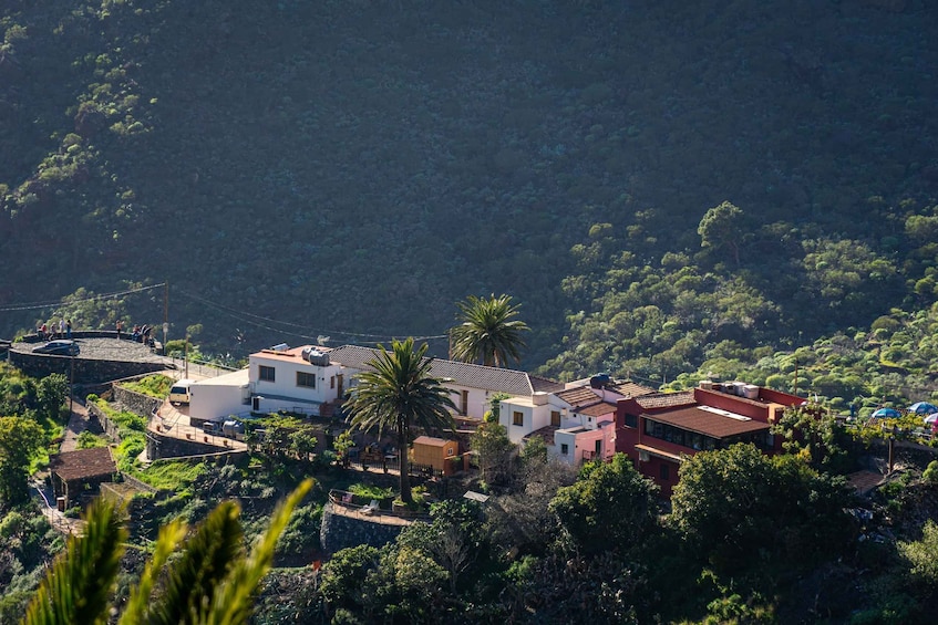 Un pueblo en la ladera con casas escalonadas, una palmera y abundante vegetación. 2