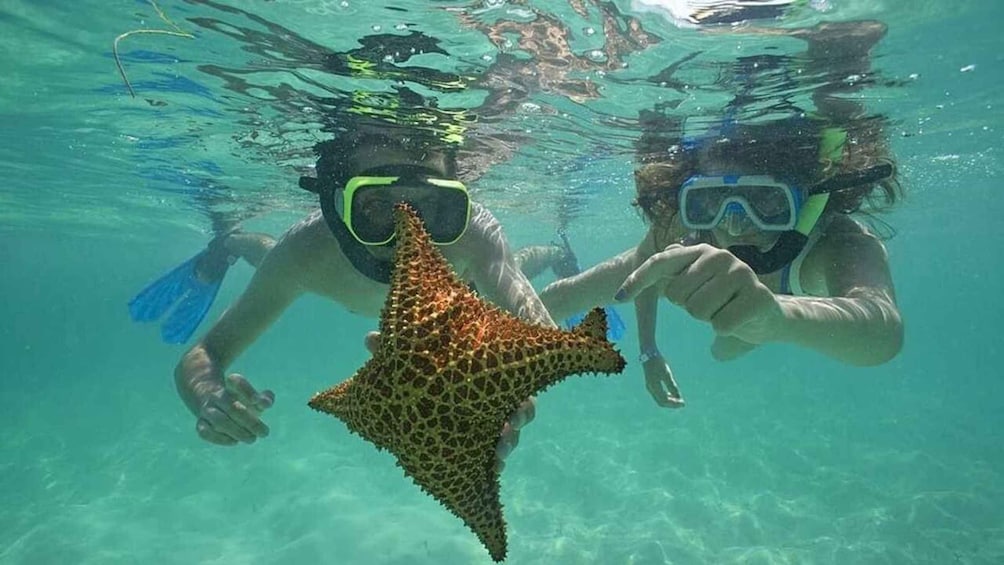 Deux personnes font de la plongée avec tuba et observent une étoile de mer. 3