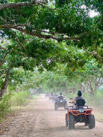Un groupe de personnes circule à bord de quads sur un chemin de terre, entouré d’arbres. 4