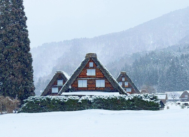 Une cabane en bois avec un toit triangulaire, entourée d’arbres couverts de neige et d’un paysage enneigé. 2