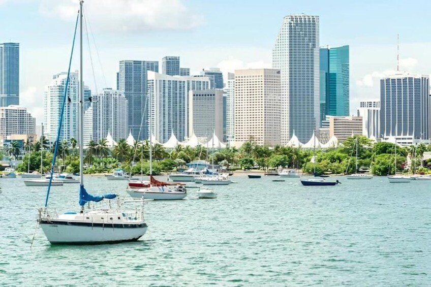 A marina with sailboats and yachts, a city skyline with high-rise buildings, and a line of palm trees along the waterfront. 4