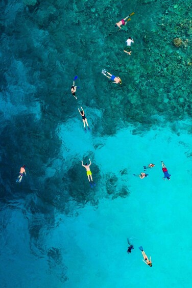 Vue aérienne de personnes pratiquant la plongée avec tuba dans des eaux d'un bleu cristallin. 5