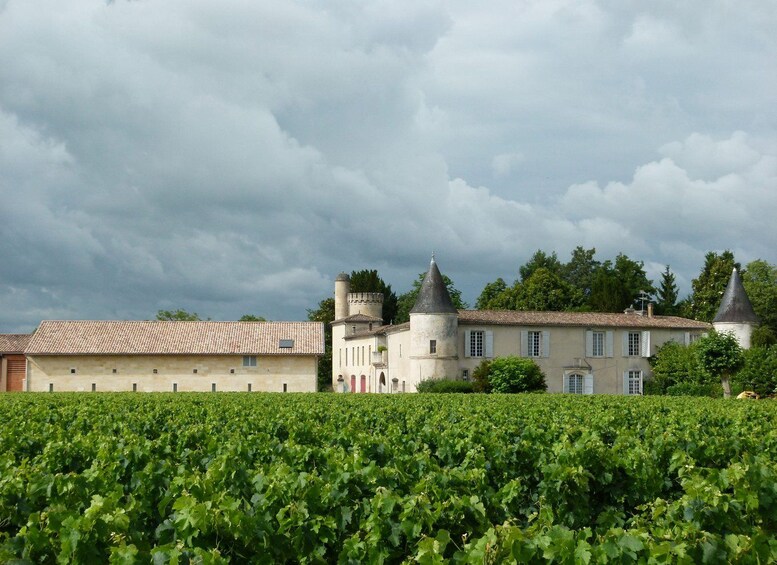 Picture 3 for Activity Saint-Émilion Wine & Chocolate Tasting Experience 5