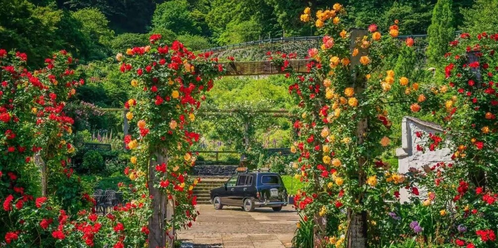 A garden with vibrant red and yellow roses, a stone bridge, and a parked car. 2