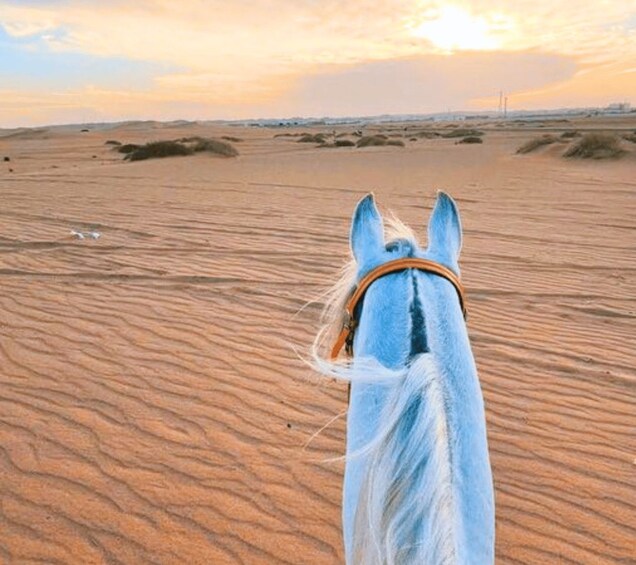 Picture 5 for Activity Doha: Desert Safari, Camel Ride, and Sandboarding Tour 4