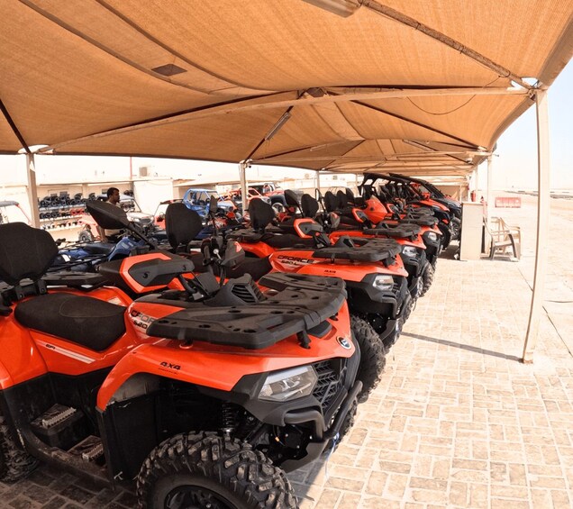 Picture 6 for Activity Doha: Desert Safari, Camel Ride, and Sandboarding Tour 3