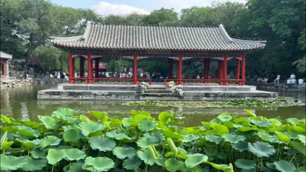 A traditional pavilion with a tiled roof and red pillars, situated by a pond with lily pads. 3