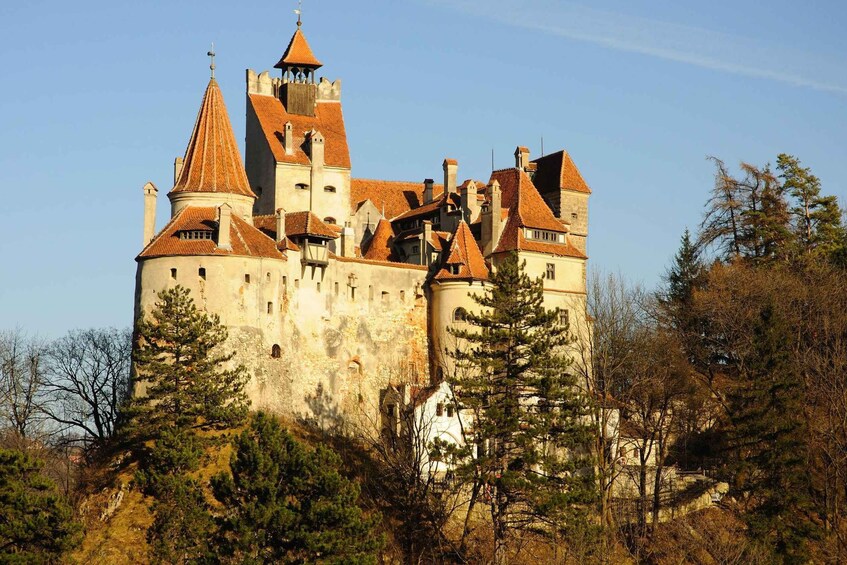 A castle with multiple towers and turrets, surrounded by trees. 3