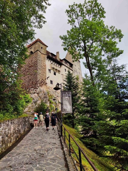 A castle with a stone staircase leading up to it, surrounded by trees. 2