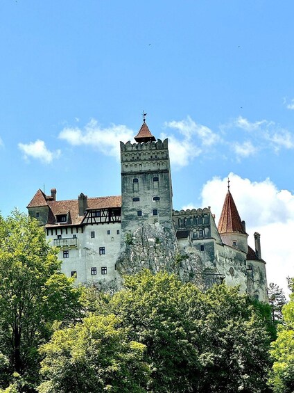 A historic castle with a prominent tower, surrounded by lush greenery. 5