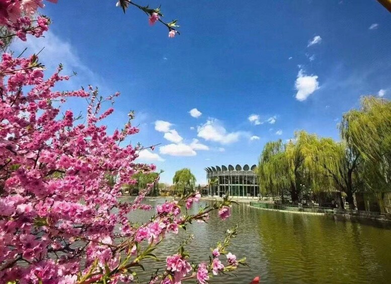 A serene landscape with a body of water, blooming pink trees, and a modern building with a unique roof design. 3