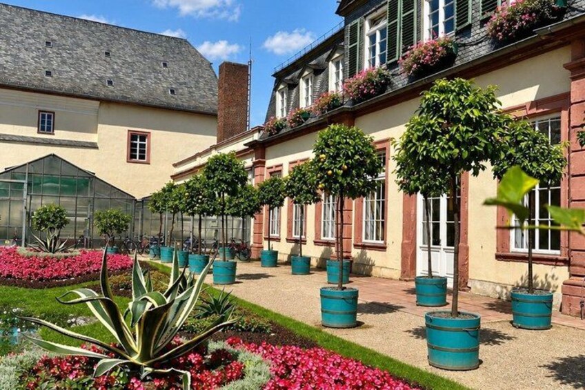 A courtyard with a greenhouse, potted trees, and flowering plants. 5